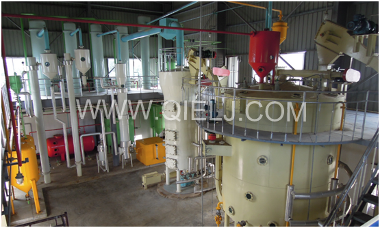 茶籽油設備 山茶油、山茶籽油國家大力提倡推廣的木本油脂(圖6)