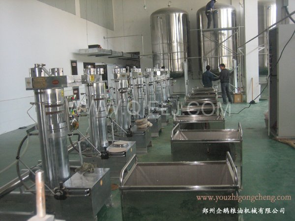 核桃油提取設備 企鵝牌核桃油設備 質優價好！(圖2)