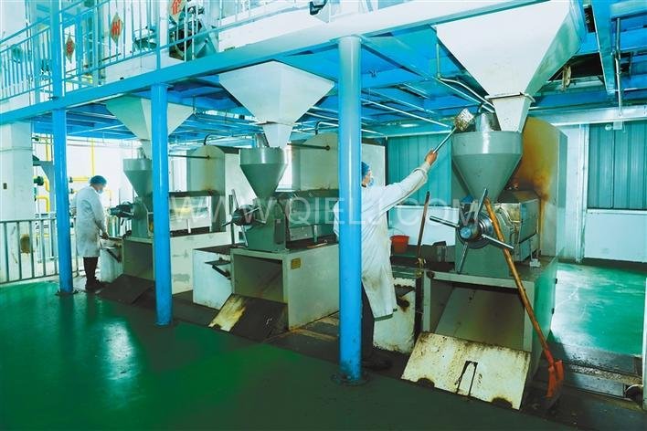 西藏企鵝糧油機械設備案例之墨竹工卡縣小油菜榨油廠項目(圖8) 西藏企鵝糧油機械設備案例之墨竹工卡縣小油菜榨油廠項目(圖8)