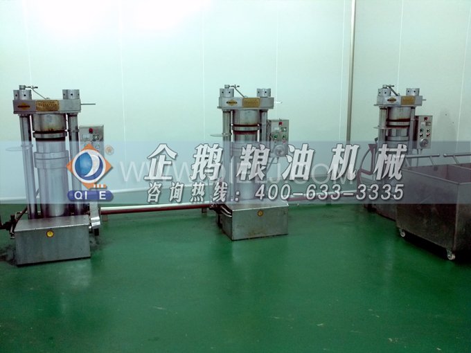 芝麻油壓榨處理設備，企鵝牌液壓榨油機勇于創(chuàng)新生產(chǎn)效率高(圖4)
