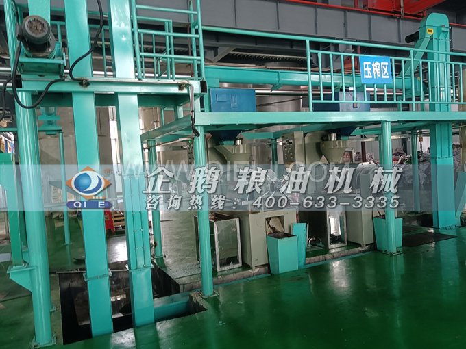 企鵝牌核桃油榨油設備，生產綠色健康油受大眾喜愛(圖4)