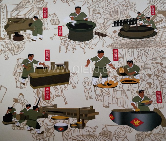 芝麻油提取加工，企鵝糧油機械生產色香味俱佳的油脂(圖2)